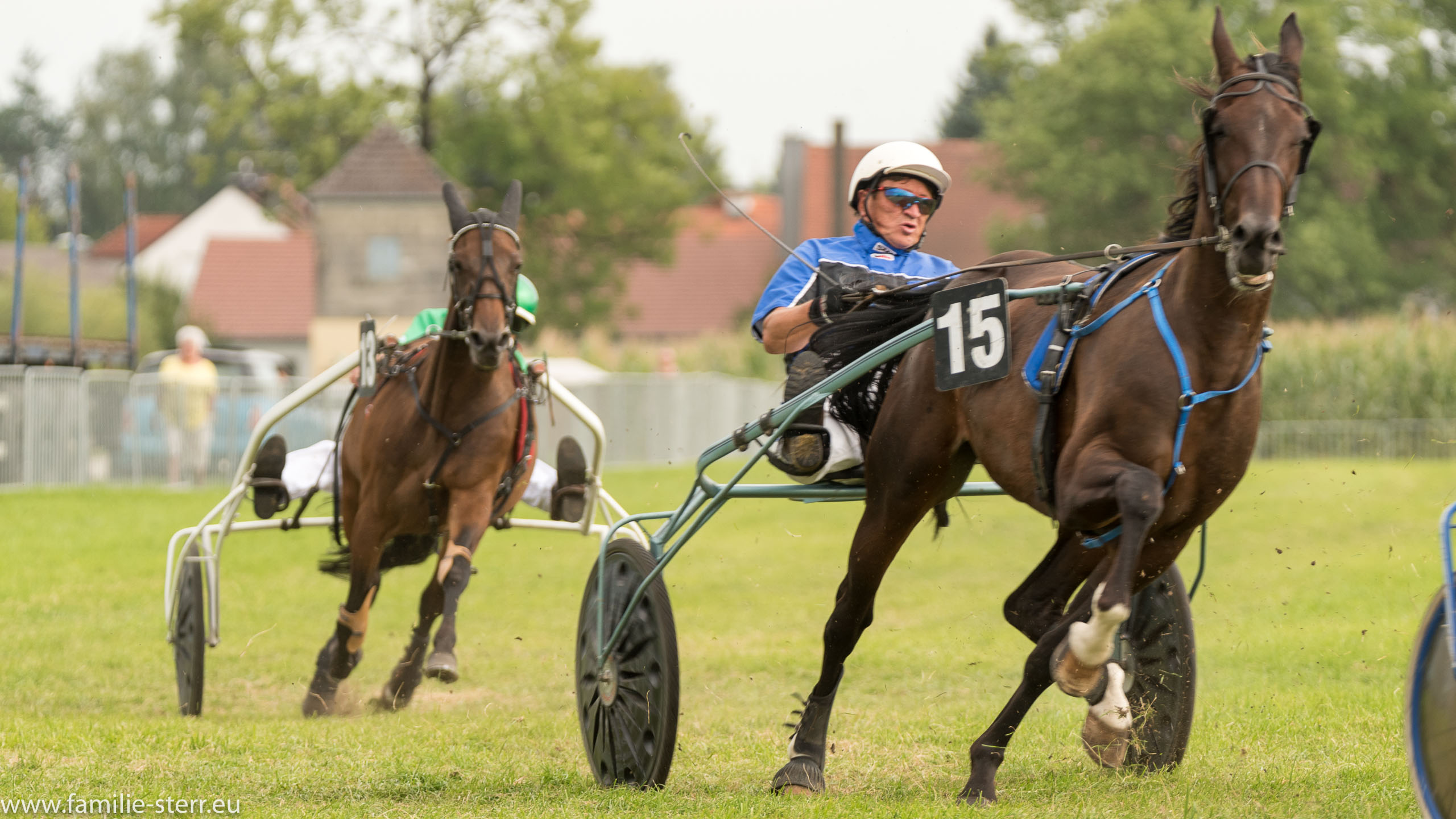 Trabrennen in Erding 2017